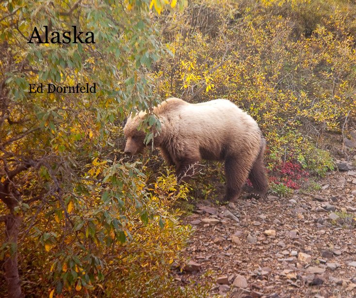 View Alaska by Ed Dornfeld