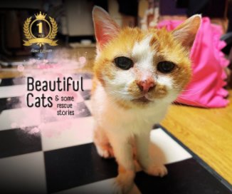 Beatiful Cats and Rescue Stories 1 book cover