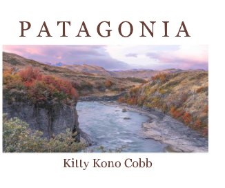 Patagonia book cover