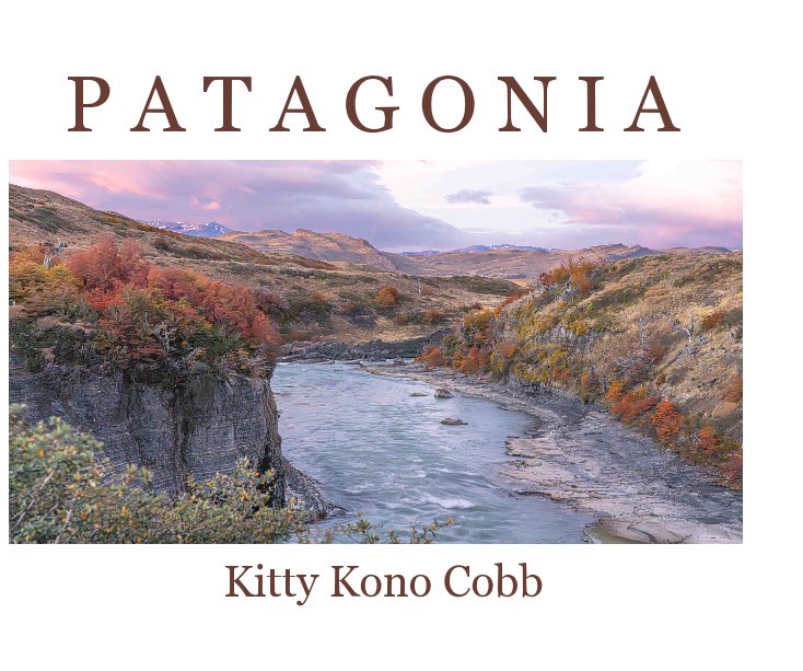 View Patagonia by Kitty Kono Cobb