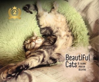 Beatiful Cats and Rescue Stories 2 book cover