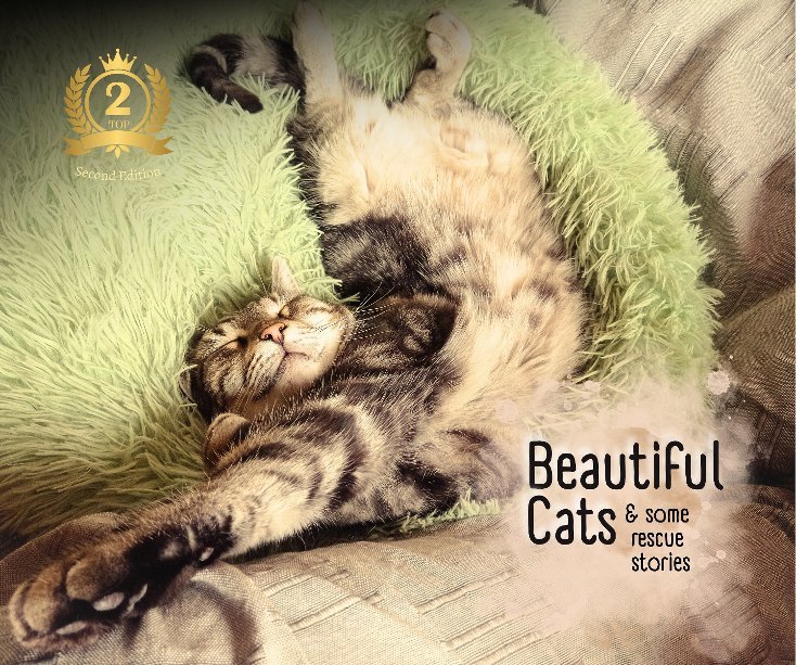 View Beautiful Cats and Rescue Stories 2 by LoveCATS