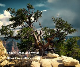 Focus: Trees and Water book cover