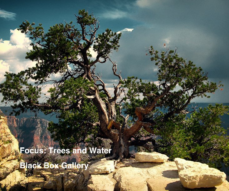 View Focus: Trees and Water by Black Box Gallery