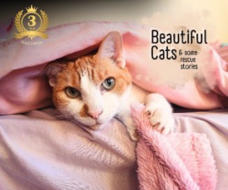 Beautiful Cats and Rescue Stories 3 book cover