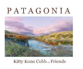 Patagonia book cover