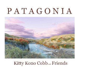 Patagonia book cover