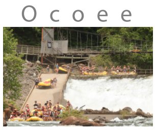 Ocoee book cover