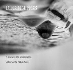 BEGINNINGS book cover