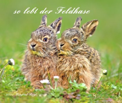Feldhasen book cover