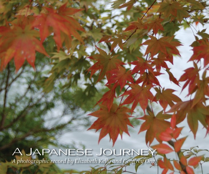 View A Japanese Journey by Elizabeth Kelly