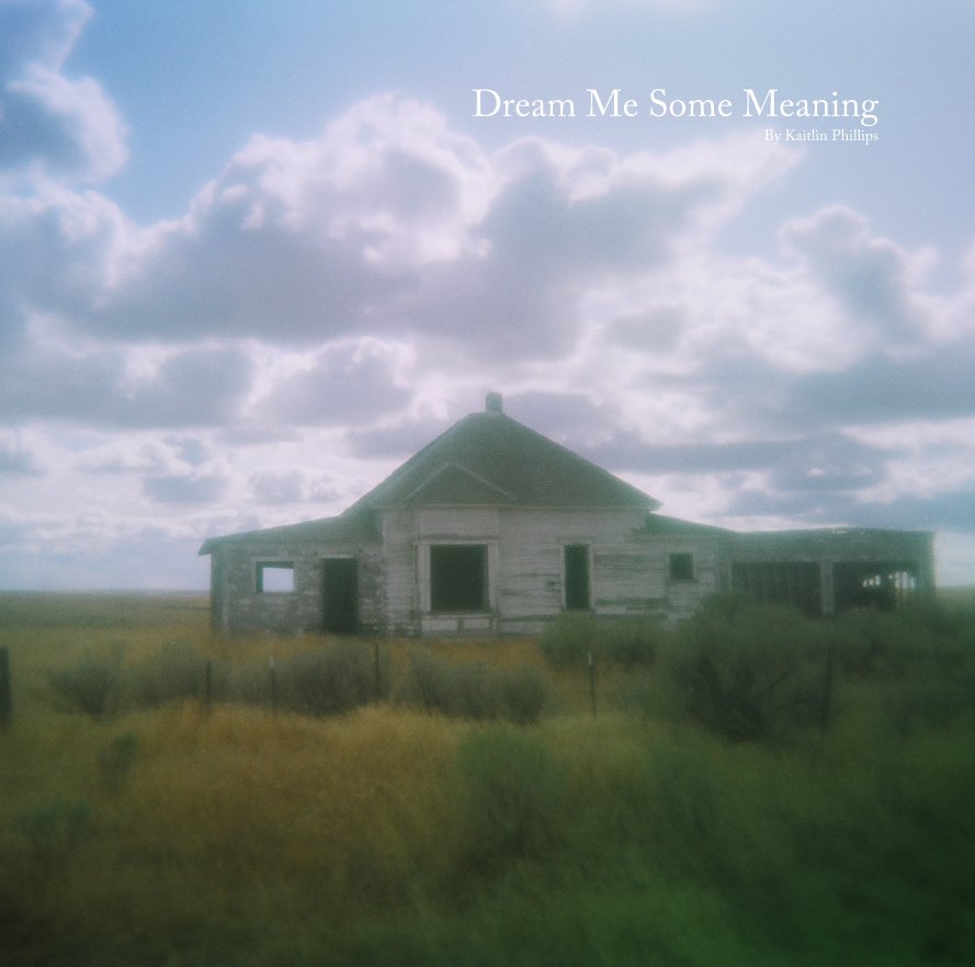 View Dream Me Some Meaning By Kaitlin Phillips by Kaitlin Phillips