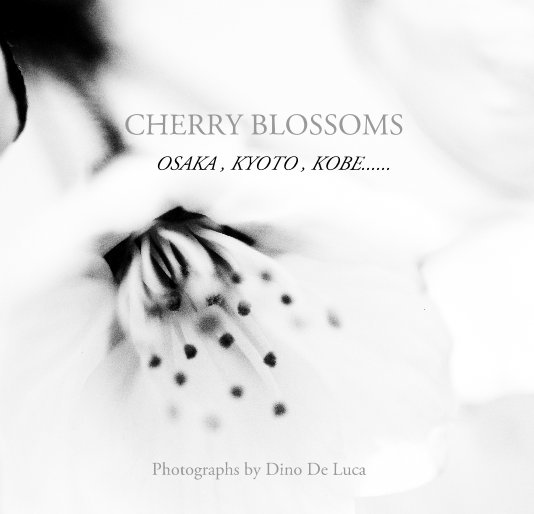 View CHERRY BLOSSOMS by Photographs by Dino De Luca