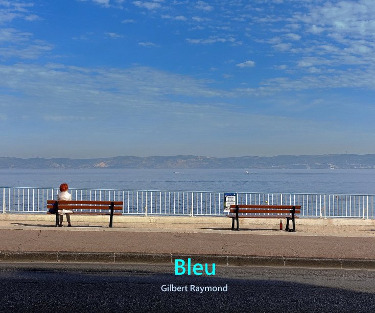 View Bleu by Gilbert Raymond