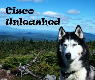 Cisco Unleashed book cover