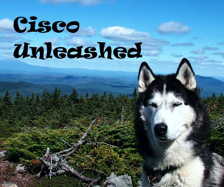 Ver Cisco Unleashed por Patrick Kelly