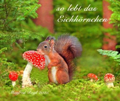 So lebt das Eichhörnchen book cover