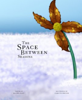 The Space Between Seasons book cover