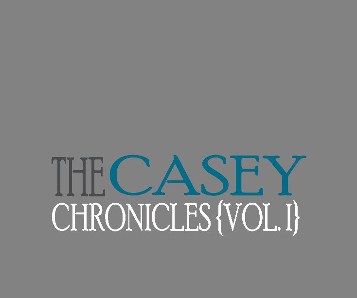 View The Casey Chronicles by Your Blog To Book