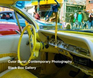 Color Burst: Contemporary Photography book cover
