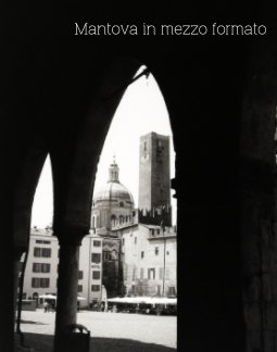 Mantova in mezzo formato book cover