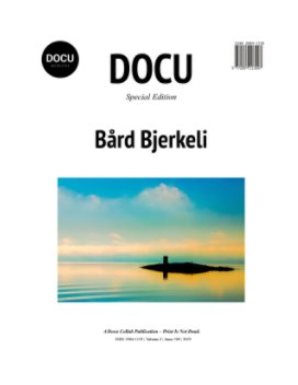 Bård Bjerkeli book cover