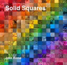 Solid Squares 2010 book cover