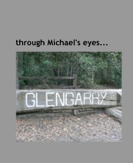 through Michael's eyes... book cover