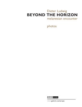 Beyond the horizon book cover