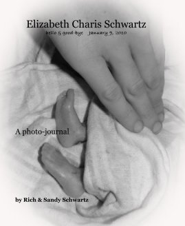 Elizabeth Charis Schwartz hello & good-bye January 9, 2010 book cover