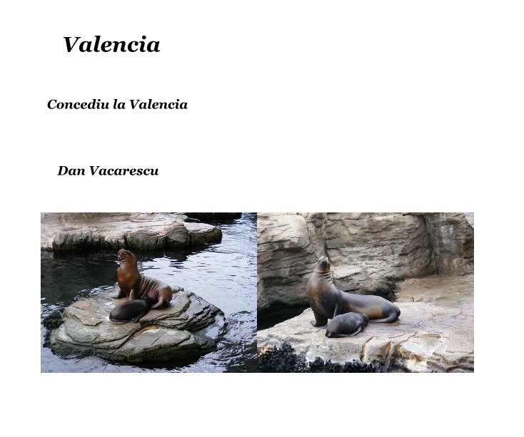 View Valencia by Dan Vacarescu