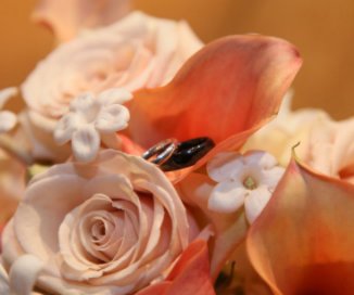 Stephan & Rachel book cover