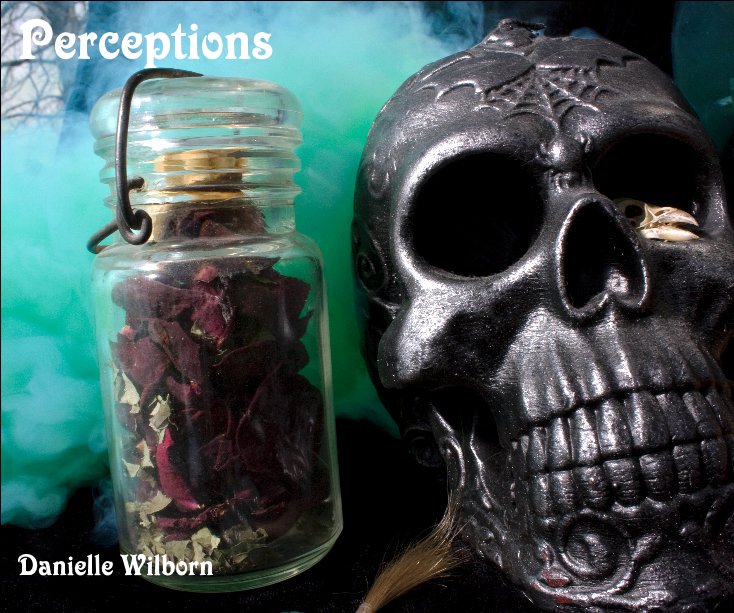 View Perceptions by Danielle Wilborn