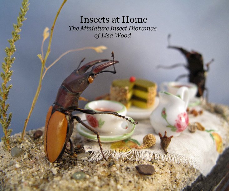 View Insects at Home by Lisa Wood