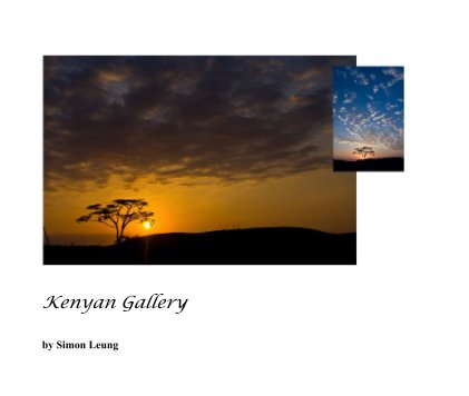 Kenyan Gallery book cover