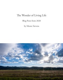 The Wonder of Living Life book cover