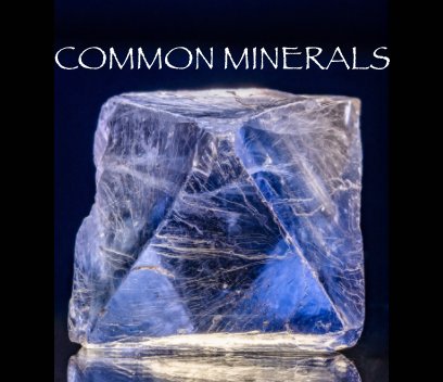 Common Minerals book cover