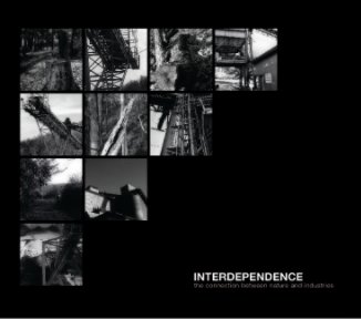 Interdependence book cover
