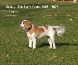 Gracie: The Early Years: 2003 - 2007 book cover