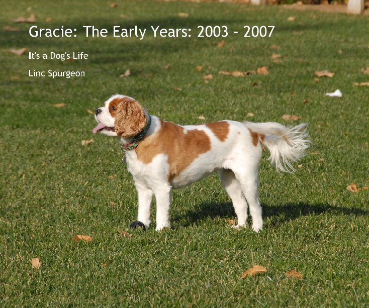 Visualizza Gracie: The Early Years: 2003 - 2007 di Linc Spurgeon
