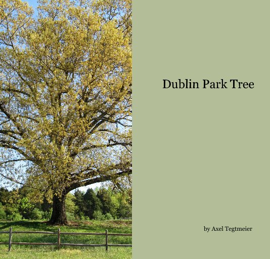 Ver Dublin Park Tree por Axel Tegtmeier