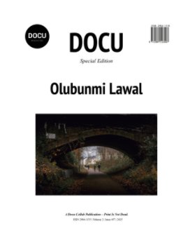 Olubunmi Lawal book cover