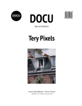 Tery Pixels book cover