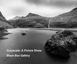 Grayscale: A Picture Show book cover