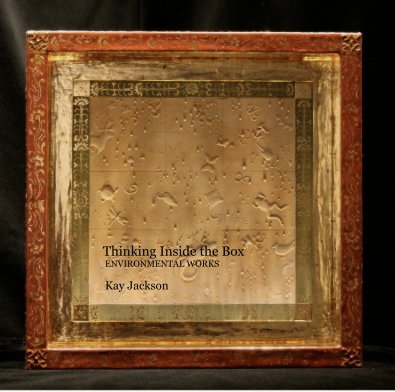 Thinking Inside the Box book cover