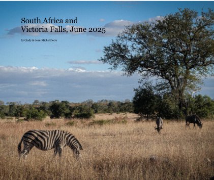 South Africa and Victoria Falls, June 2025 book cover