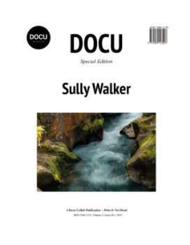 Sully Walker book cover