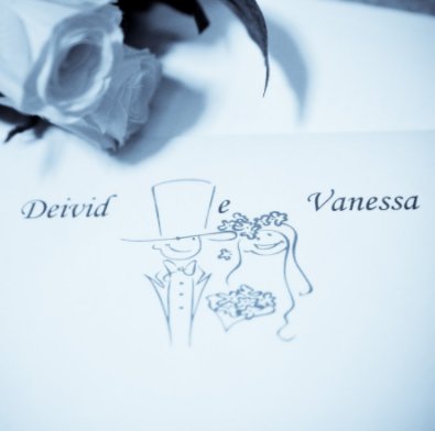 Deivid e Vanessa book cover