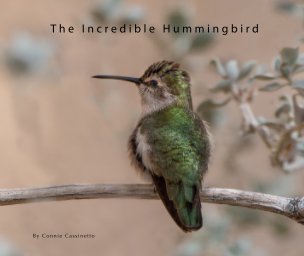 The Incredible Hummingbird book cover