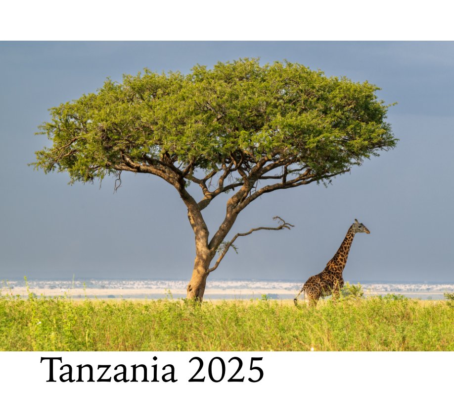 View Tanzania 2025 by MICHAEL ADAMS